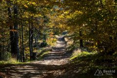 Na  czerwonym szlaku za Mędralową Zachodnią