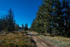 Na  czerwonym szlaku za Mędralową Zachodnią