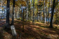 Niebieski szlak do Zawoi Wełcza