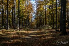 Niebieski szlak do Zawoi Wełcza