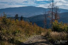 Niebieski szlak do Zawoi Wełcza