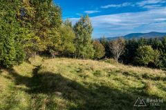 Niebieski szlak do Zawoi Wełcza