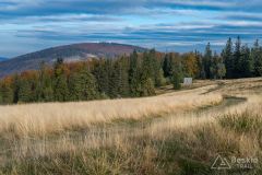 Hala na Lachów Groń