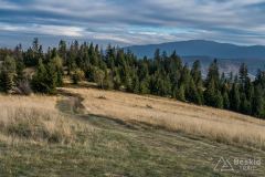 Hala na Lachów Groń