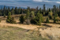 Hala na Lachów Groń