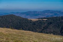 Hala Cudzichowa