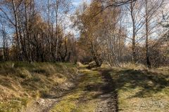 Pomiędzy Porębskim Groniem a Przełęczą Targanicką