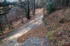 Na szlaku rowerowym z Brzuśnika na Skałę