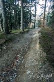Rowerowy szlak przez Lachowe Młaki do Przełęczy u Poloka