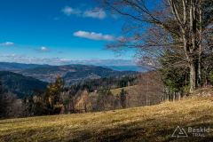 IMG_8101