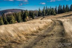 IMG_8109