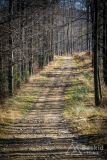IMG_8110