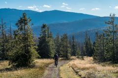 IMG_8128