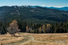 IMG_8129