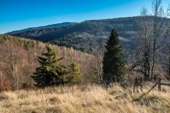 IMG_8133