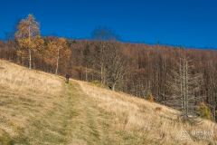 IMG_8134