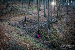 IMG_8145
