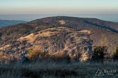 IMG_8157