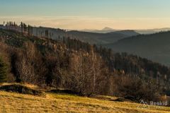 IMG_8164