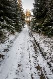 Zielony szlak na Halę Miziową