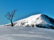 fot. Mariusz Lubos