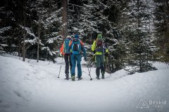 IMG_8733