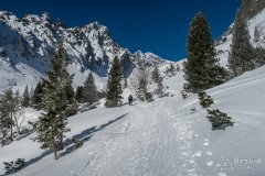 IMG_8738