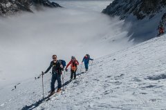 IMG_8746