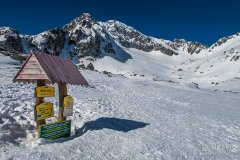 IMG_8751