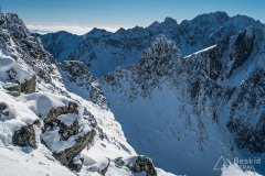 IMG_8772