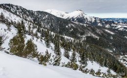 IMG_8859
