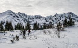 IMG_8860