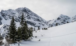IMG_8861