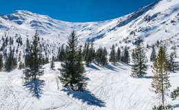 IMG_8978
