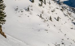 IMG_9003
