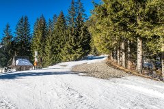 IMG_8937
