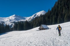 IMG_8938