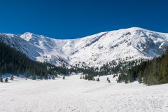 IMG_8939