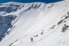 IMG_8941
