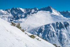 IMG_8954
