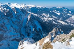 IMG_8961