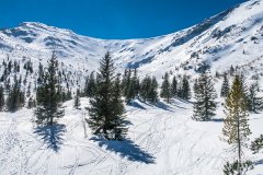 IMG_8978
