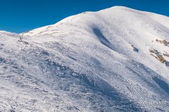 IMG_8981