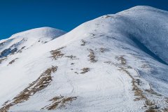 IMG_8983