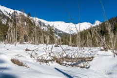 IMG_8994