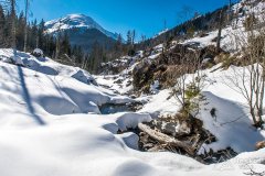 IMG_8995
