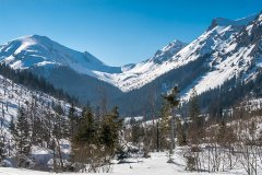 IMG_8997