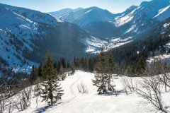IMG_9001
