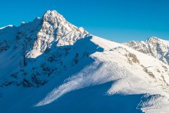 IMG_9010