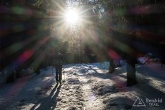 IMG_9017